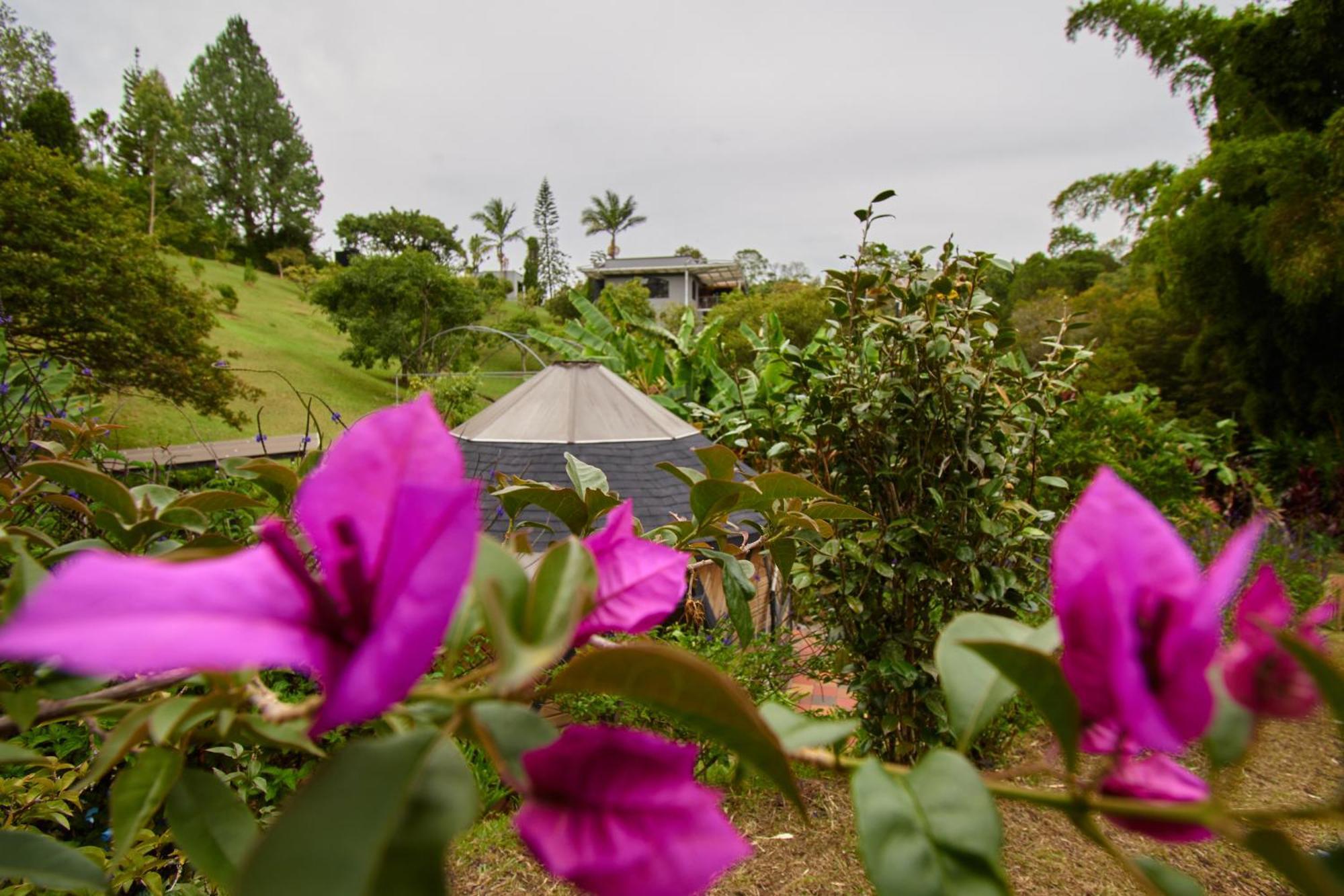 Kokumi By Bernalo Hotels Rionegro Buitenkant foto